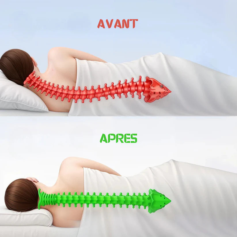 Alignova™ – Oreiller Cervical Ergonomique à Mémoire de Forme 2 en 1
