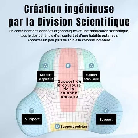 Coussin Lombaire Ergonomique En Mousse à Mémoire de Forme