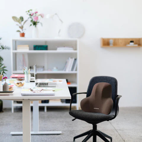 Coussin Lombaire Ergonomique En Mousse à Mémoire de Forme