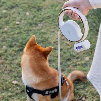 Laisse automatique sécurisée pour chien