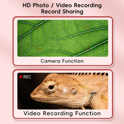 Microscope numérique à grossissement 1000X avec caméra 2 MP et écran