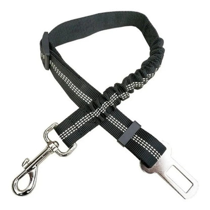 Ceinture de sécurité pour chien réglable robuste