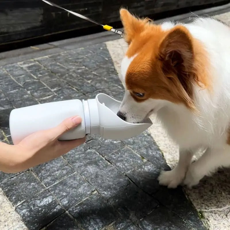 Bouteille d'eau pliable légère en silicone 500 ml