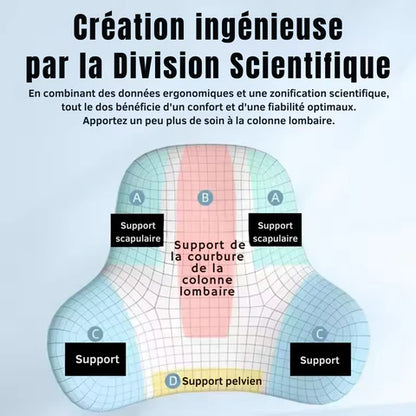 Coussin Lombaire Ergonomique En Mousse à Mémoire de Forme