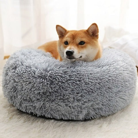 Coussin Douillet pour Chien - Lit Canin Lavable
