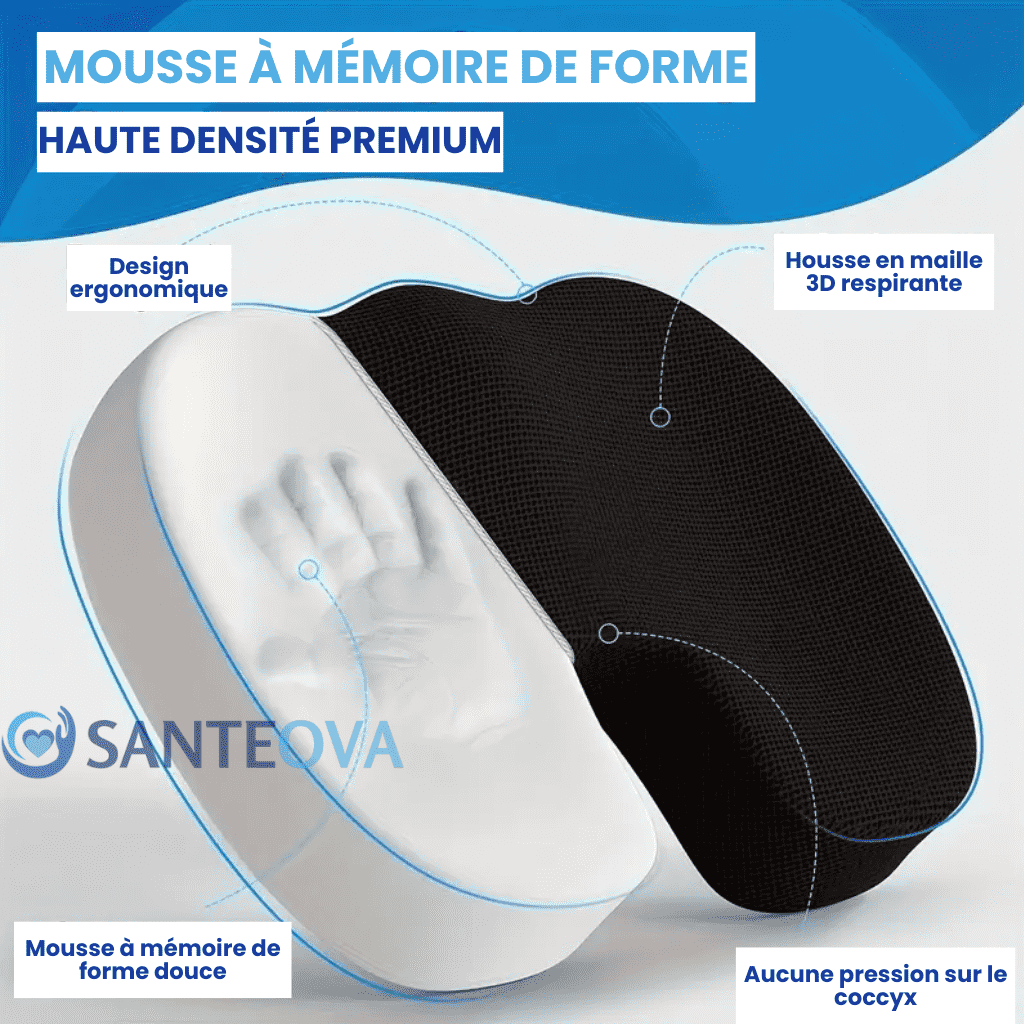 Ergolomb™ – Coussin Lombaire Ergonomique Mémoire de Forme