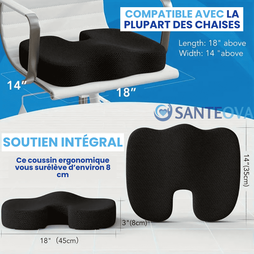 Ergolomb™ – Coussin Lombaire Ergonomique Mémoire de Forme