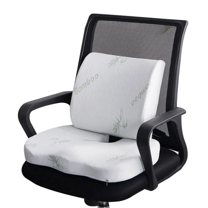 Coussin de soutien lombaire en mousse ergonomique - Santeova