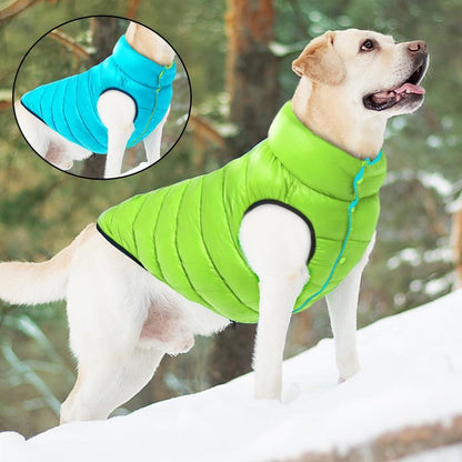 Veste étanche double-face pour chien