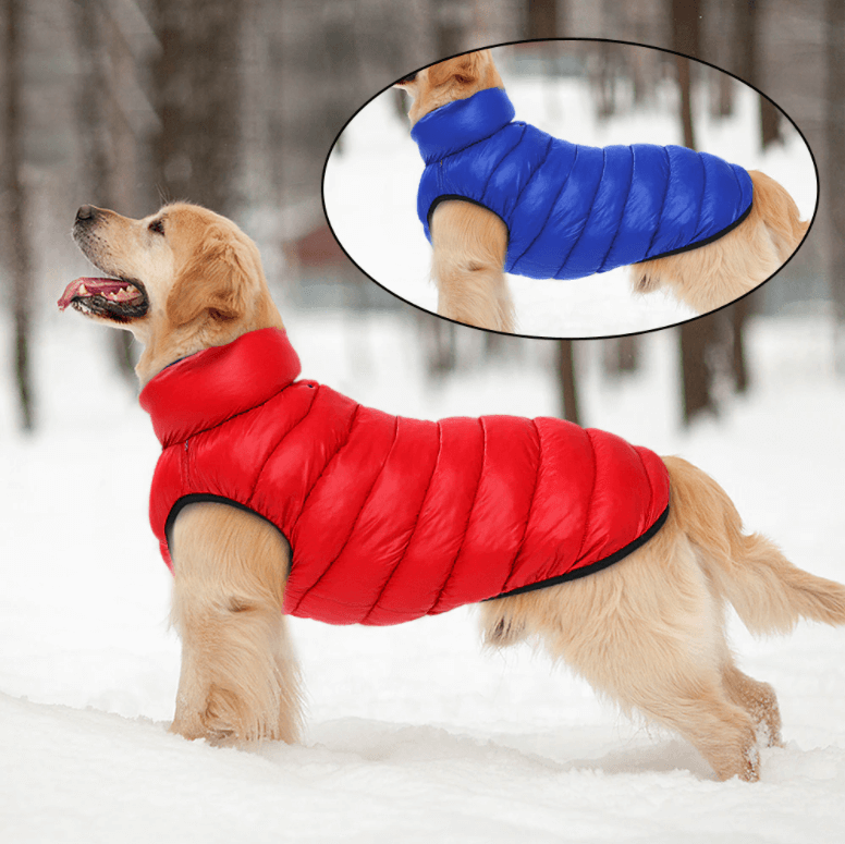 Veste étanche double-face pour chien