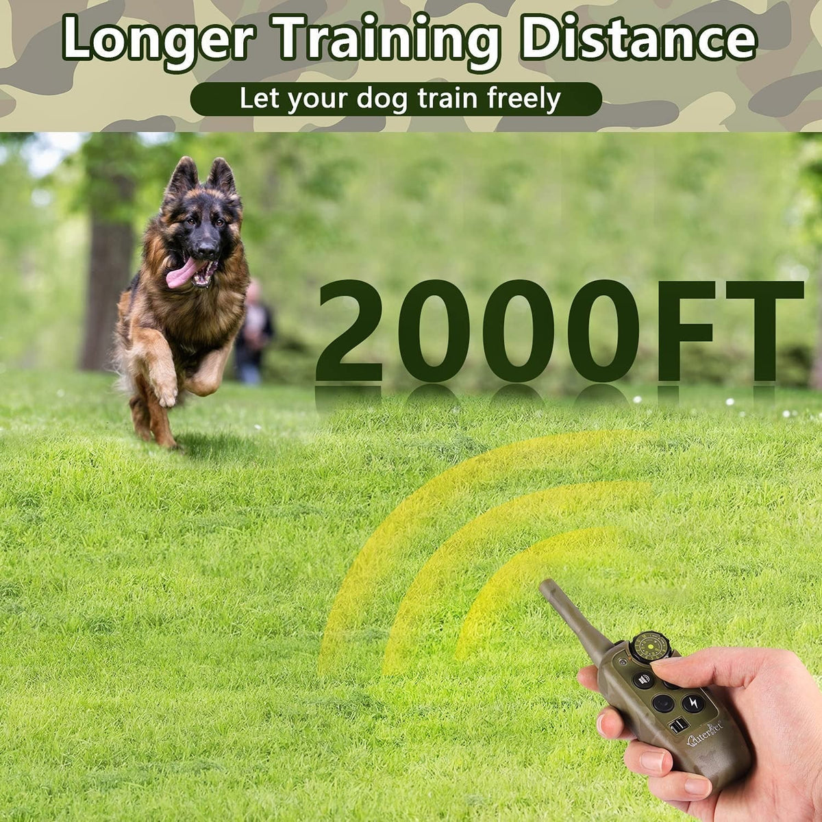 Collier de dressage électrique à télécommande pour chien
