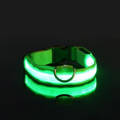 Collier et laisse lumineux pour chien